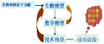 仿生傳感器的定義、原理、分類及應(yīng)用